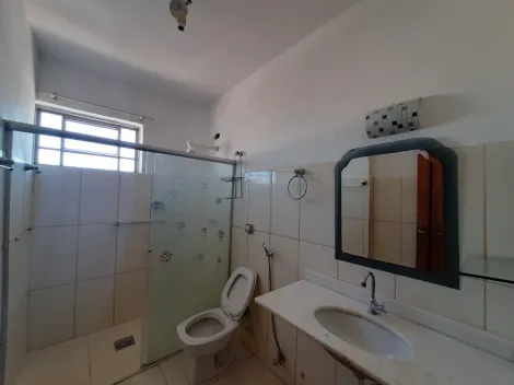 Alugar Apartamento / Padr&atilde;o em S&atilde;o Jos&eacute; do Rio Preto R$ 800,00 - Foto 9