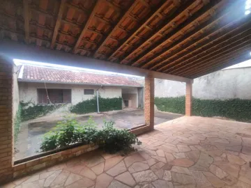 Alugar Casa / Padr&atilde;o em S&atilde;o Jos&eacute; do Rio Preto R$ 3.500,00 - Foto 13