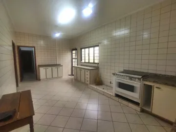 Alugar Casa / Padr&atilde;o em S&atilde;o Jos&eacute; do Rio Preto R$ 3.500,00 - Foto 6