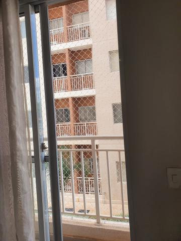 Comprar Apartamento / Padr&atilde;o em S&atilde;o Jos&eacute; do Rio Preto R$ 310.000,00 - Foto 10