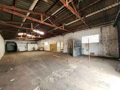 Comercial / Sal&atilde;o em S&atilde;o Jos&eacute; do Rio Preto 