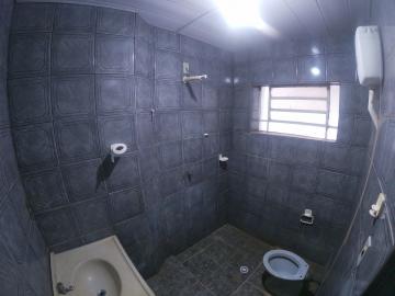 Alugar Casa / Padr&atilde;o em S&atilde;o Jos&eacute; do Rio Preto R$ 900,00 - Foto 9