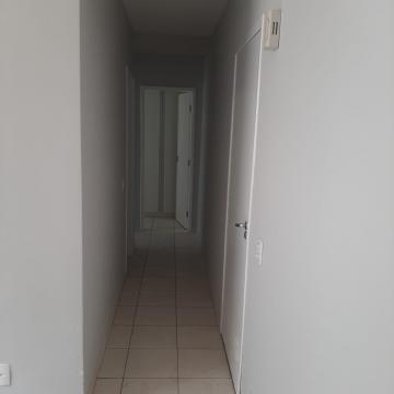 Alugar Apartamento / Padr&atilde;o em S&atilde;o Jos&eacute; do Rio Preto R$ 900,00 - Foto 2