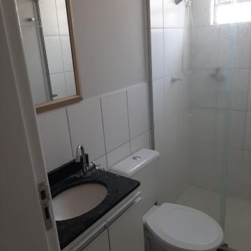 Alugar Apartamento / Padr&atilde;o em S&atilde;o Jos&eacute; do Rio Preto R$ 900,00 - Foto 7