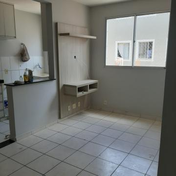 Alugar Apartamento / Padr&atilde;o em S&atilde;o Jos&eacute; do Rio Preto R$ 900,00 - Foto 5