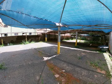 Alugar Comercial / Sal&atilde;o em S&atilde;o Jos&eacute; do Rio Preto R$ 6.500,00 - Foto 3