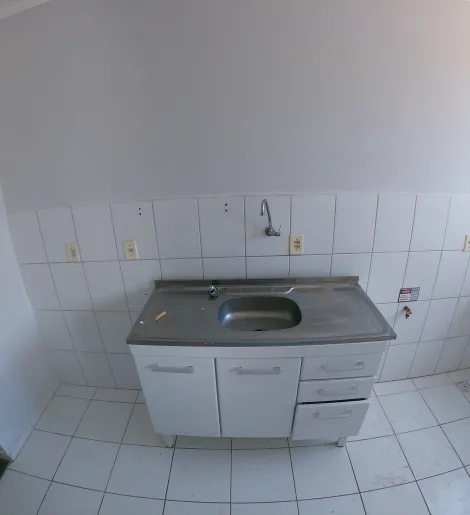 Alugar Apartamento / Padr&atilde;o em S&atilde;o Jos&eacute; do Rio Preto R$ 500,00 - Foto 3