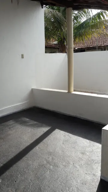Alugar Casa / Padr&atilde;o em S&atilde;o Jos&eacute; do Rio Preto R$ 700,00 - Foto 7