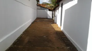 Alugar Casa / Padr&atilde;o em S&atilde;o Jos&eacute; do Rio Preto R$ 700,00 - Foto 12