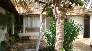 Alugar Casa / Padr&atilde;o em S&atilde;o Jos&eacute; do Rio Preto R$ 700,00 - Foto 14