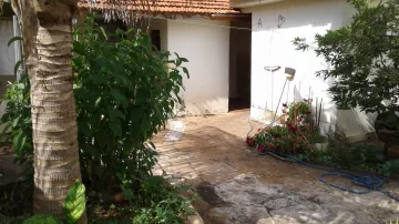 Alugar Casa / Padr&atilde;o em S&atilde;o Jos&eacute; do Rio Preto R$ 700,00 - Foto 15