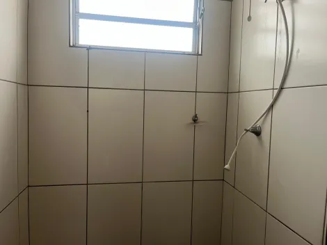 Alugar Apartamento / Padr&atilde;o em S&atilde;o Jos&eacute; do Rio Preto R$ 800,00 - Foto 8