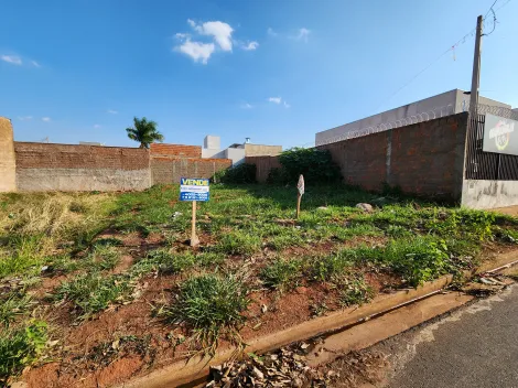 Terreno / Padr&atilde;o em S&atilde;o Jos&eacute; do Rio Preto 