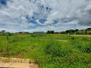 Comprar Terreno / Padr&atilde;o em S&atilde;o Jos&eacute; do Rio Preto R$ 168.000,00 - Foto 2