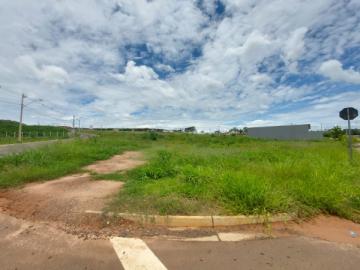 Comprar Terreno / Padr&atilde;o em S&atilde;o Jos&eacute; do Rio Preto R$ 168.000,00 - Foto 4
