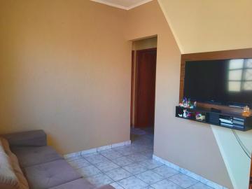 Alugar Casa / Padr&atilde;o em S&atilde;o Jos&eacute; do Rio Preto. apenas R$ 290.000,00