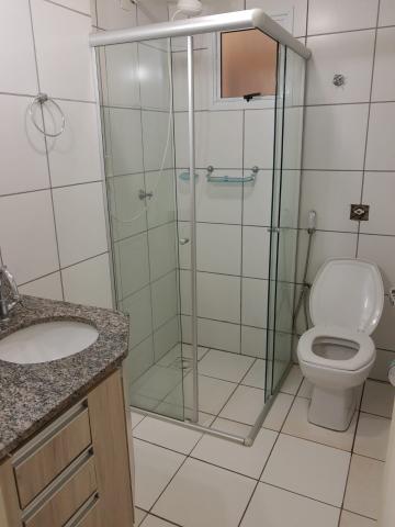 Alugar Apartamento / Padr&atilde;o em S&atilde;o Jos&eacute; do Rio Preto R$ 1.000,00 - Foto 6