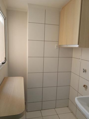 Alugar Apartamento / Padr&atilde;o em S&atilde;o Jos&eacute; do Rio Preto R$ 1.000,00 - Foto 8