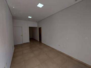 Alugar Comercial / Sala em S&atilde;o Jos&eacute; do Rio Preto. apenas R$ 2.850,00