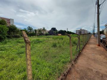 Comprar Terreno / &Aacute;rea em S&atilde;o Jos&eacute; do Rio Preto - Foto 3