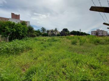 Comprar Terreno / &Aacute;rea em S&atilde;o Jos&eacute; do Rio Preto - Foto 4