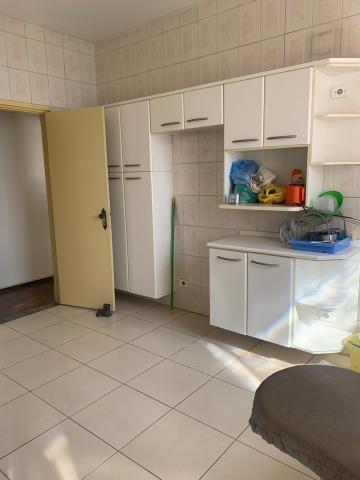 Alugar Apartamento / Padr&atilde;o em S&atilde;o Jos&eacute; do Rio Preto. apenas R$ 300.000,00