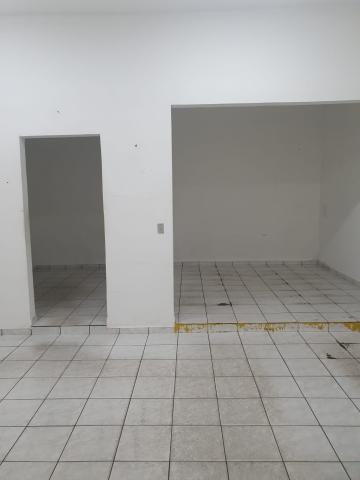 Comprar Casa / Padr&atilde;o em S&atilde;o Jos&eacute; do Rio Preto R$ 1.500.000,00 - Foto 5