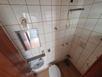 Alugar Casa / Padr&atilde;o em S&atilde;o Jos&eacute; do Rio Preto R$ 1.000,00 - Foto 20