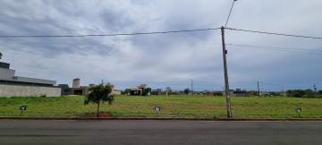 Comprar Terreno / Condom&iacute;nio em Ipigu&aacute; R$ 95.000,00 - Foto 6