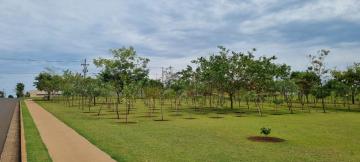 Comprar Terreno / Condom&iacute;nio em Ipigu&aacute; R$ 95.000,00 - Foto 9