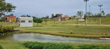 Comprar Terreno / Condom&iacute;nio em Ipigu&aacute; R$ 95.000,00 - Foto 10