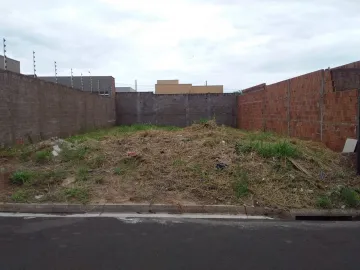 Comprar Terreno / Padr&atilde;o em S&atilde;o Jos&eacute; do Rio Preto R$ 100.000,00 - Foto 4