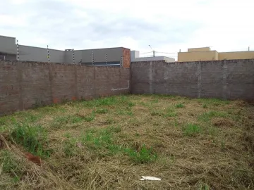 Comprar Terreno / Padr&atilde;o em S&atilde;o Jos&eacute; do Rio Preto R$ 100.000,00 - Foto 3