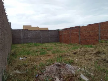 Comprar Terreno / Padr&atilde;o em S&atilde;o Jos&eacute; do Rio Preto R$ 100.000,00 - Foto 2