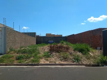 Terreno / Padr&atilde;o em S&atilde;o Jos&eacute; do Rio Preto 