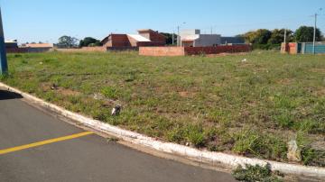 Terreno / Padr&atilde;o em Uchoa 