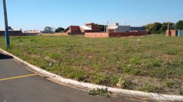 Comprar Terreno / Padr&atilde;o em Uchoa - Foto 2