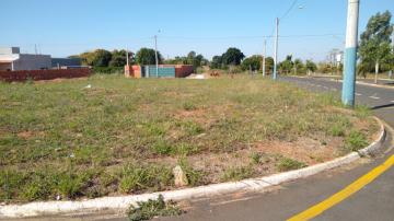Comprar Terreno / Padr&atilde;o em Uchoa - Foto 3