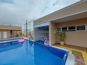 Alugar Apartamento / Padr&atilde;o em S&atilde;o Jos&eacute; do Rio Preto R$ 1.203,00 - Foto 17