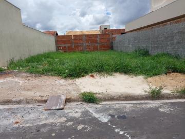 Terreno / Padr&atilde;o em S&atilde;o Jos&eacute; do Rio Preto 