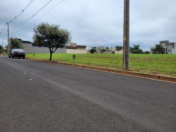 Alugar Terreno / Condom&iacute;nio em Ipigu&aacute;. apenas R$ 110.000,00