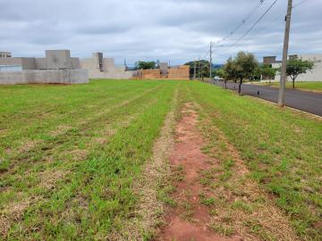 Comprar Terreno / Condom&iacute;nio em Ipigu&aacute; R$ 110.000,00 - Foto 2