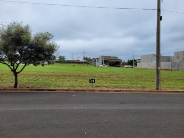 Comprar Terreno / Condom&iacute;nio em Ipigu&aacute; R$ 110.000,00 - Foto 3