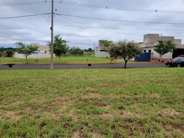 Comprar Terreno / Condom&iacute;nio em Ipigu&aacute; R$ 110.000,00 - Foto 4