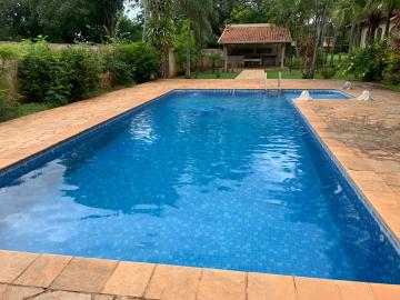 Comprar Rural / Ch&aacute;cara em S&atilde;o Jos&eacute; do Rio Preto R$ 950.000,00 - Foto 15