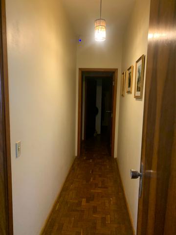 Comprar Rural / Ch&aacute;cara em S&atilde;o Jos&eacute; do Rio Preto R$ 950.000,00 - Foto 26