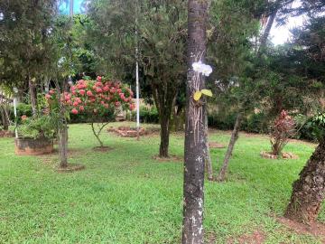 Comprar Rural / Ch&aacute;cara em S&atilde;o Jos&eacute; do Rio Preto R$ 950.000,00 - Foto 5