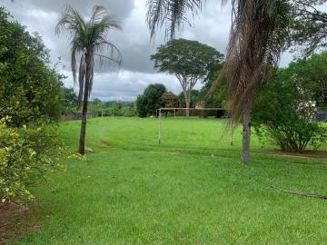 Comprar Rural / Ch&aacute;cara em S&atilde;o Jos&eacute; do Rio Preto R$ 950.000,00 - Foto 7