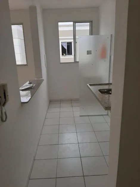 Alugar Apartamento / Padr&atilde;o em S&atilde;o Jos&eacute; do Rio Preto R$ 1.000,00 - Foto 6