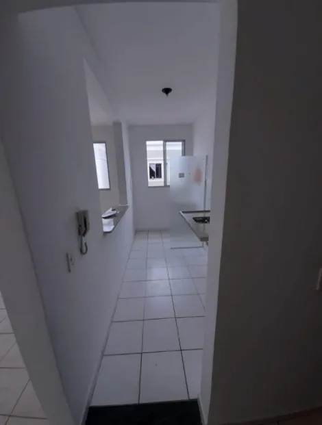 Alugar Apartamento / Padr&atilde;o em S&atilde;o Jos&eacute; do Rio Preto R$ 1.000,00 - Foto 7